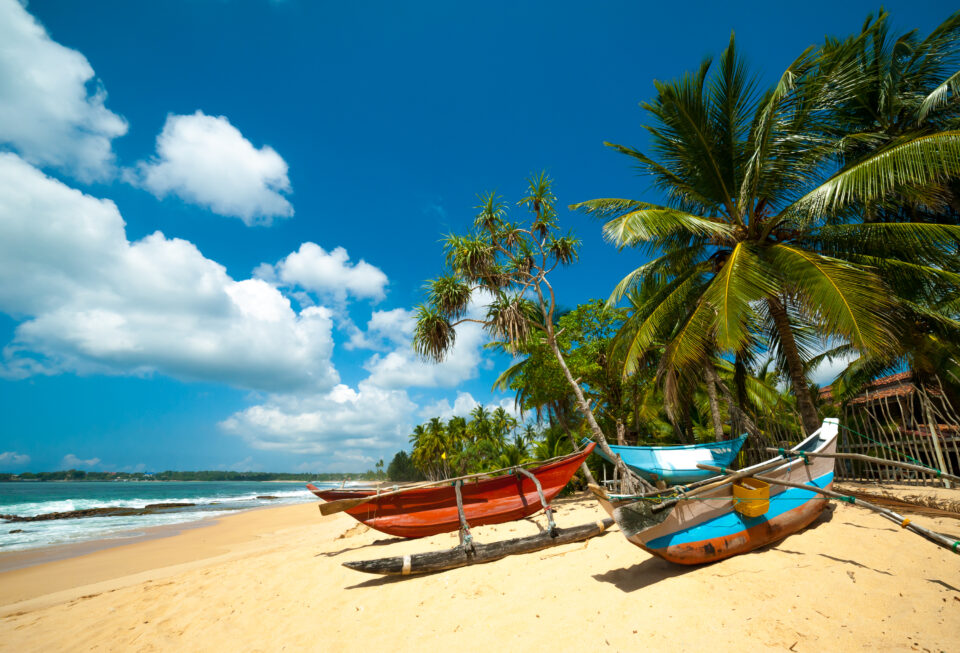 Untouched tropical beach with palms and fishing boats in Sri-Lanka